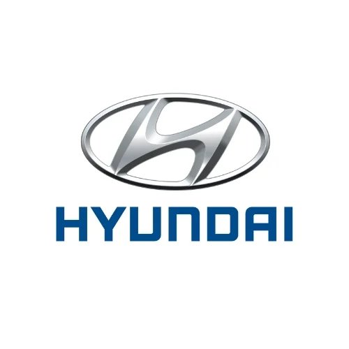 Hyundai Mileage Blocker