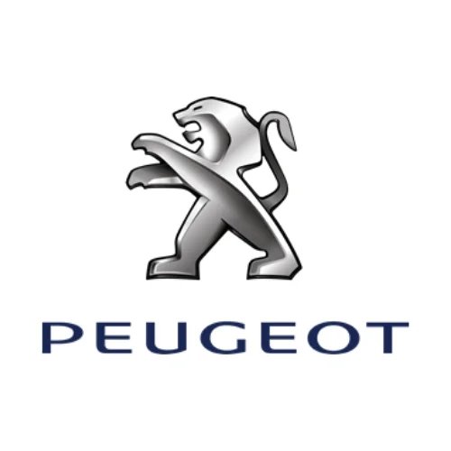 Peugeot Mileage Blockers