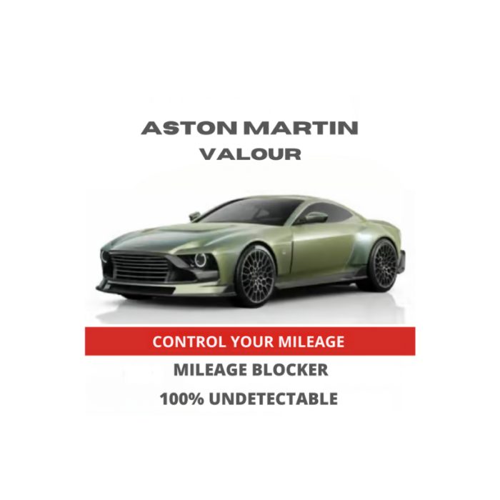 AstonMartinValourMileageBlockerStopperCanbusFilter