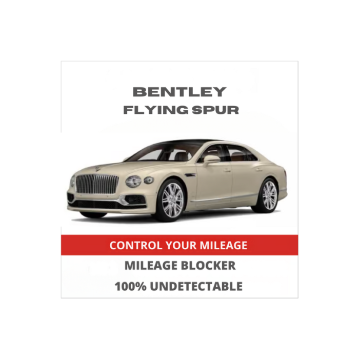 BentleyFlyingSpurMileageBlockerStopperCanbusFilter