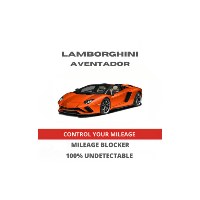 LamborghiniAventadorMileageBlockerStopperCanbusFilter