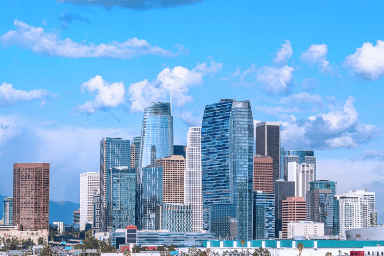 Mileage Blocker Los Angeles