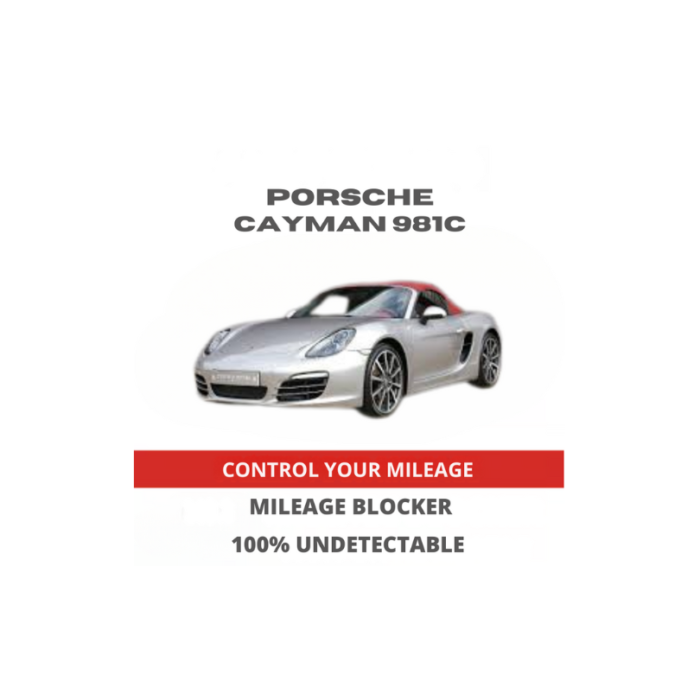 PorscheCayman981CMileageBlockerStopperCanbusFilter